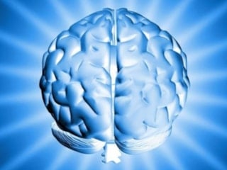 Dünyanın en yüksek IQ'suna sahip ülkeleri