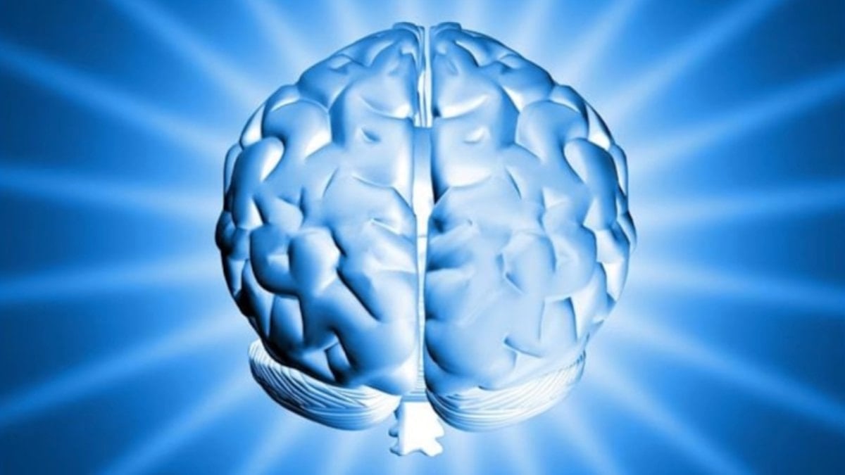 Dünyanın en yüksek IQ'suna sahip ülkeleri