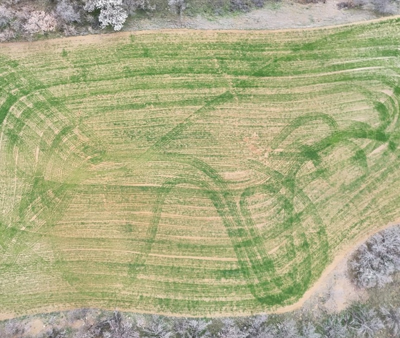 Isparta'nın Yalvaç İlçesinde tohum ekilen tarlalar sanat eserine dönüştü