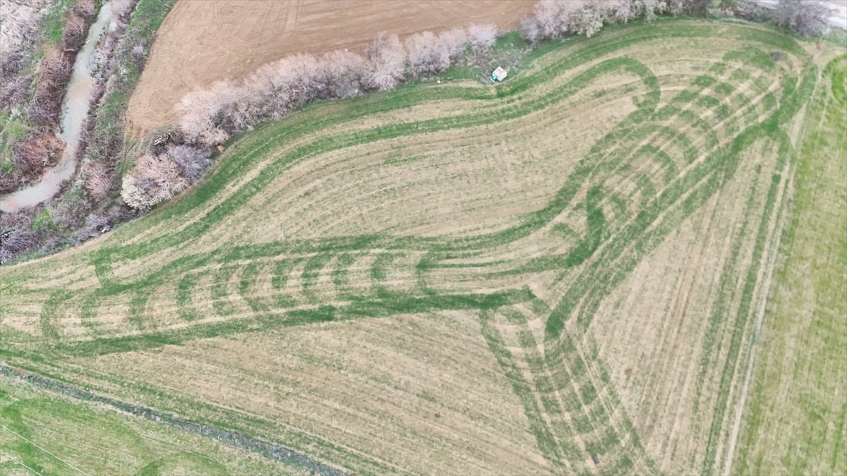Isparta'da ekilen tarlalardaki geometrik şekiller