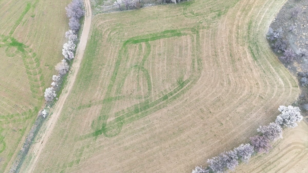 Isparta'da ekilen tarlalardaki geometrik şekiller