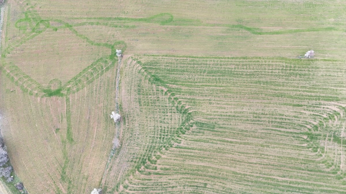 Isparta'da ekilen tarlalardaki geometrik şekiller