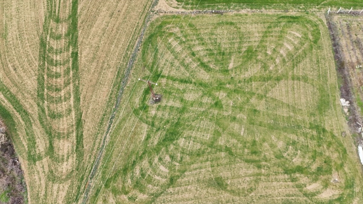 Isparta'da ekilen tarlalardaki geometrik şekiller