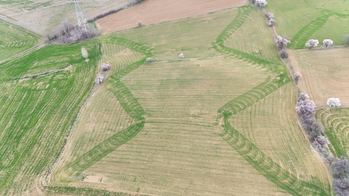 Isparta'da ekilen tarlalardaki geometrik şekiller