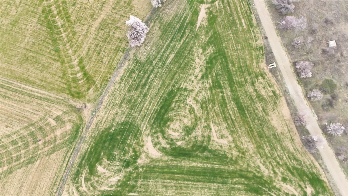 Isparta'da ekilen tarlalardaki geometrik şekiller