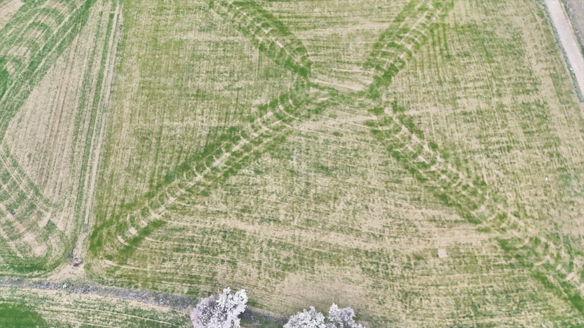 Isparta'da ekilen tarlalardaki geometrik şekiller