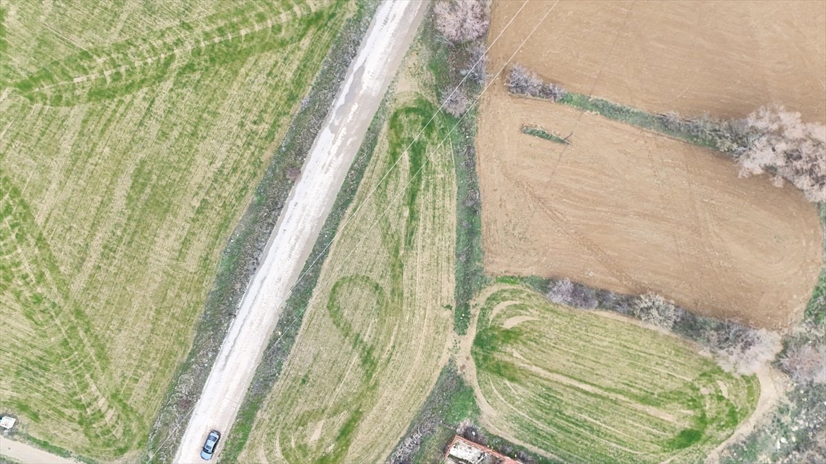 Isparta'da ekilen tarlalardaki geometrik şekiller