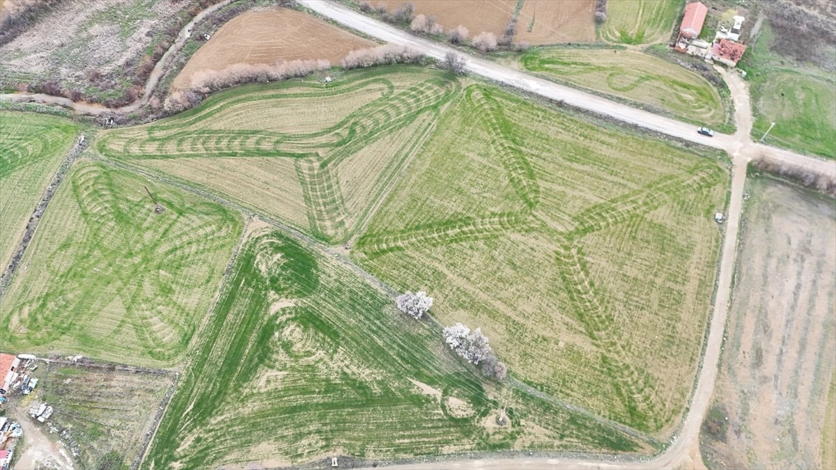 Isparta'da ekilen tarlalardaki geometrik şekiller