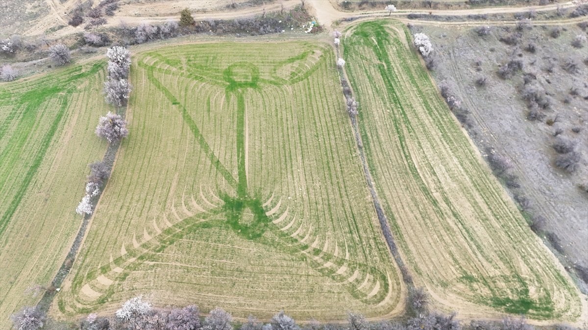 Isparta'da ekilen tarlalardaki geometrik şekiller