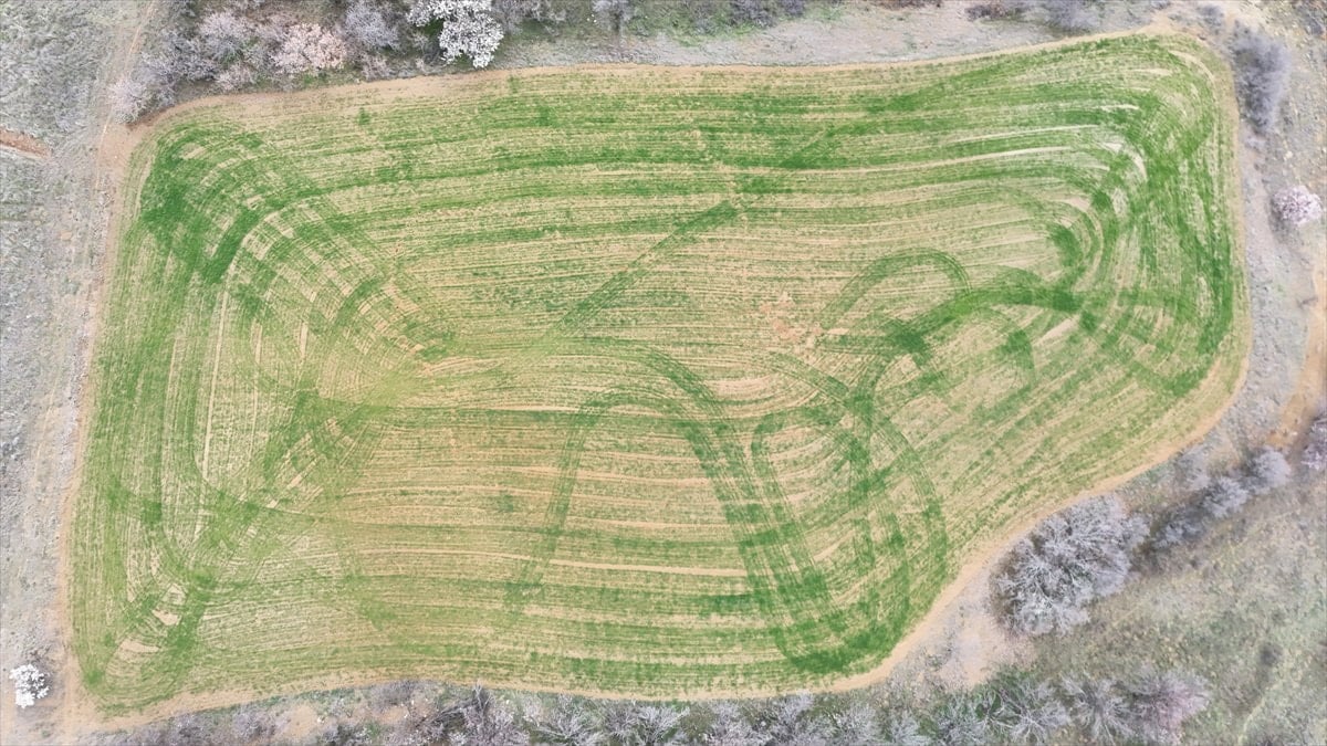 Isparta'da ekilen tarlalardaki geometrik şekiller