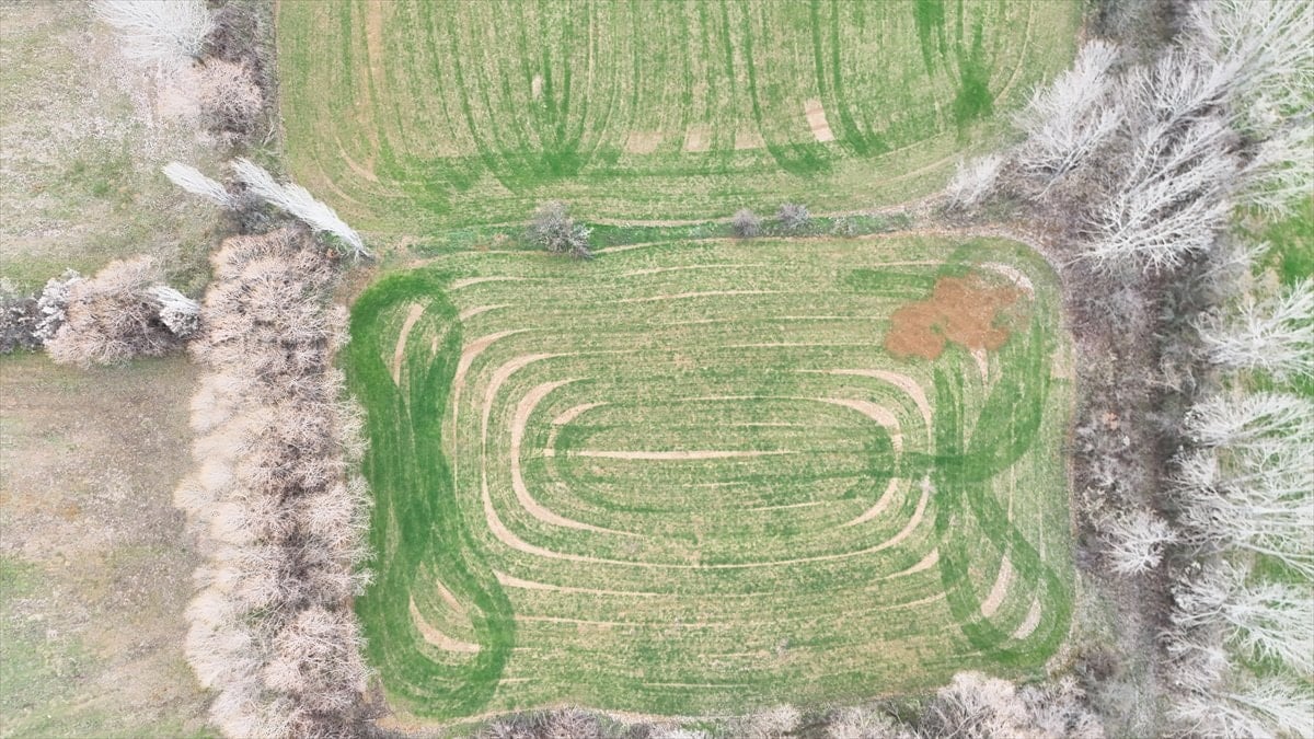 Isparta'da ekilen tarlalardaki geometrik şekiller