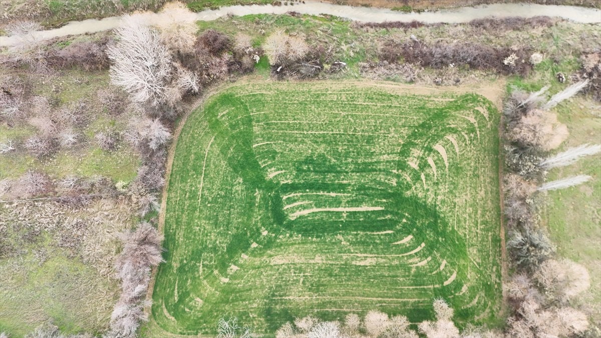 Isparta'da ekilen tarlalardaki geometrik şekiller