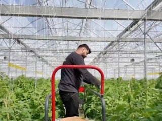 İbrahim Yumaklı: Çaycuma Sera OTB üretime başladı