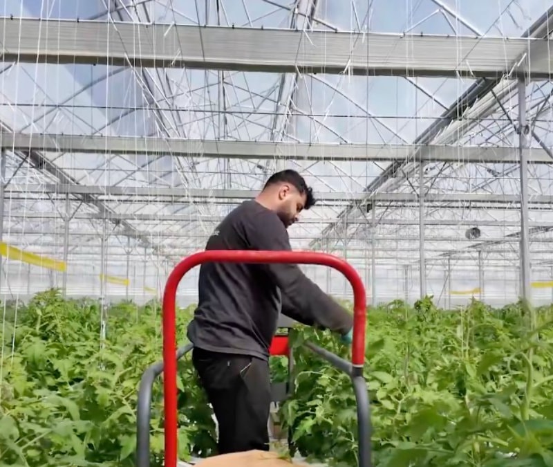 İbrahim Yumaklı: Çaycuma Sera OTB üretime başladı