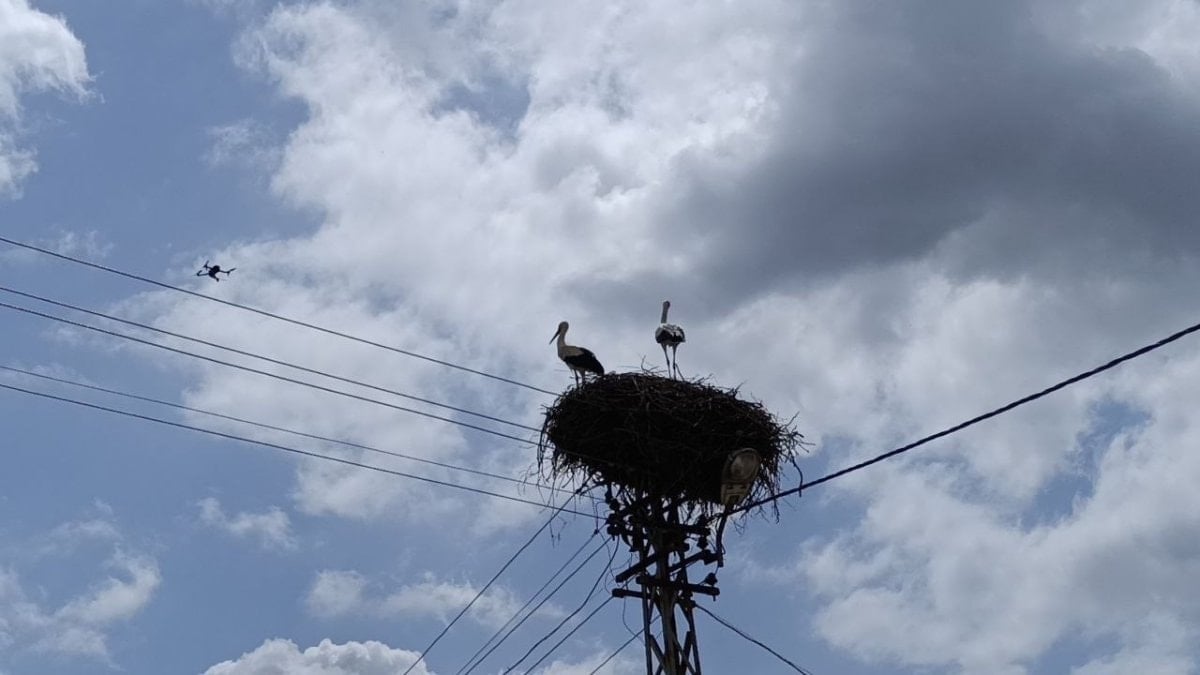 Adana'da yuvasına bu yıl eşiyle geldi