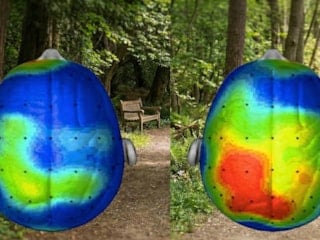 20 dakika yürüyüşün beynimize inanılmaz etkisi