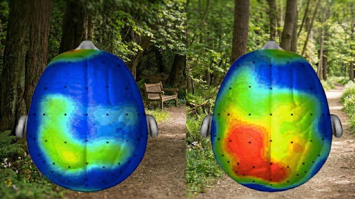 20 dakika yürüyüşün beynimize inanılmaz etkisi