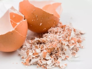 Yumurta kabuklarını atan kalmadı: Herkes tozlaştırıyor...