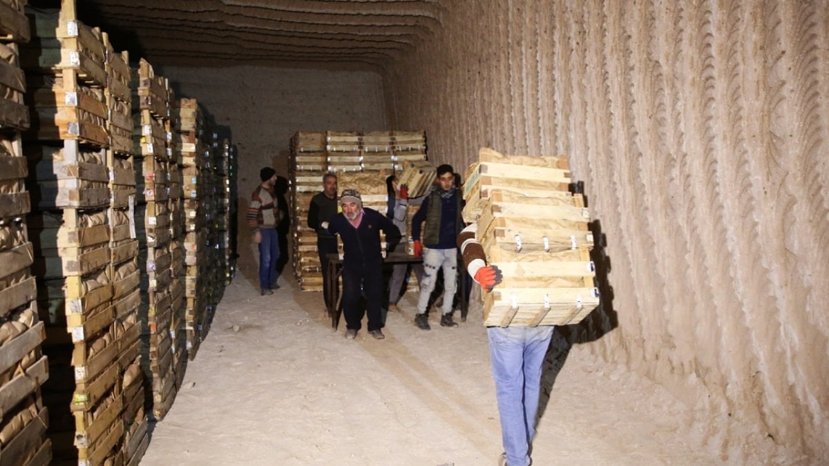 Kapadokya'daki doğal mağaralarda 'yatak limon' depolanıyor
