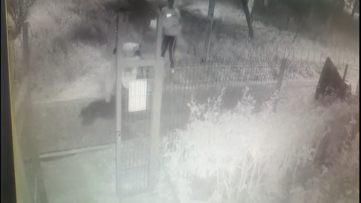 İstanbul'da 'icraatlara devam' diye video paylaşan hırsız yakalandı