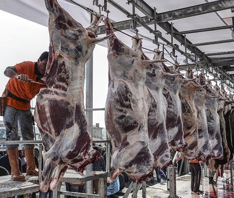 2026 Kurban kesim ücretleri ne kadar, kaç TL