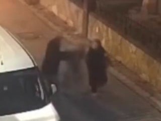 Samsun'da adres bahanesiyle yanaştığı kadının kolyesini çaldı: Polisten kaçamadı