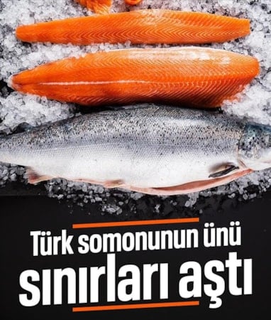 Türk somonu ihracat geliri üç ayda 91 milyon doları geçti