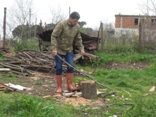 Samsun'da 110 koyunu gitti, parasını alamadı
