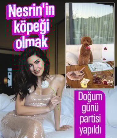 Köpeğine doğum günü partisi verdi