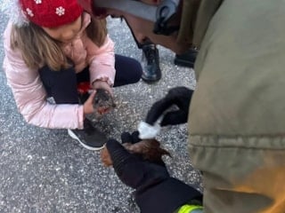 Düzce'de kanala düşen iki yavru kedi kalp masajıyla hayata döndü