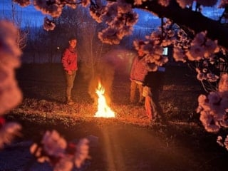 Erzincan’da çiftçiler don nöbetinde