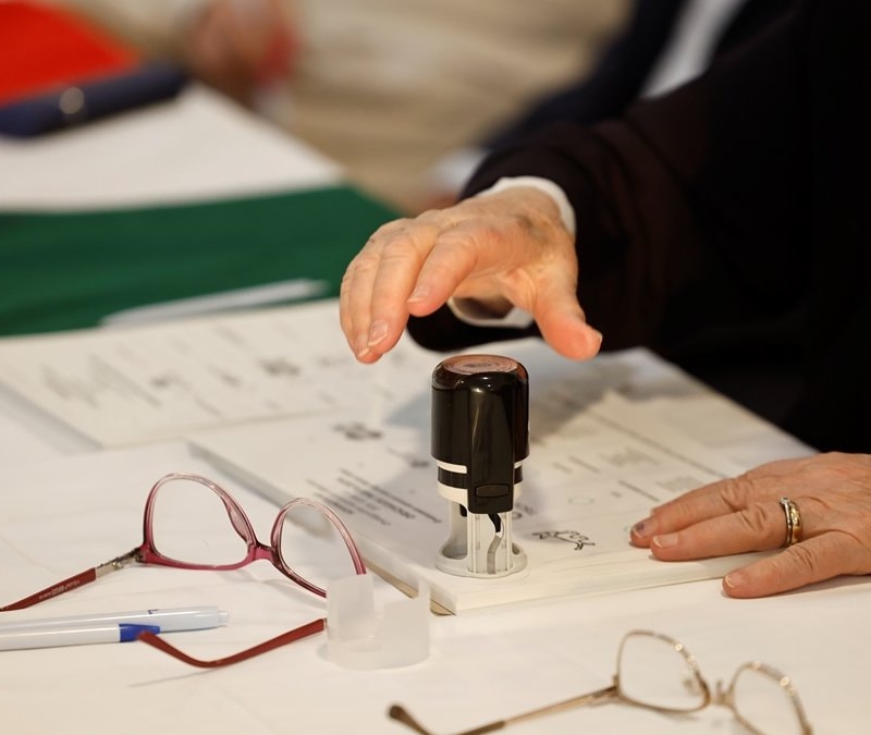 Macaristan'da genel seçim: Oy verme işlemi başladı