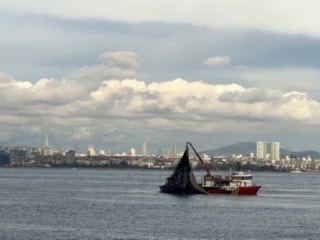 Marmara’da istavrit bereketi: Av sezonu kapanmadan tezgâhlar doldu
