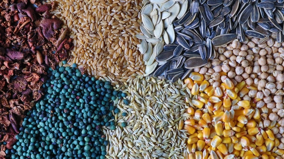 Yüzyıllık lezzet 'gavut', Konya’da yaşatılıyor