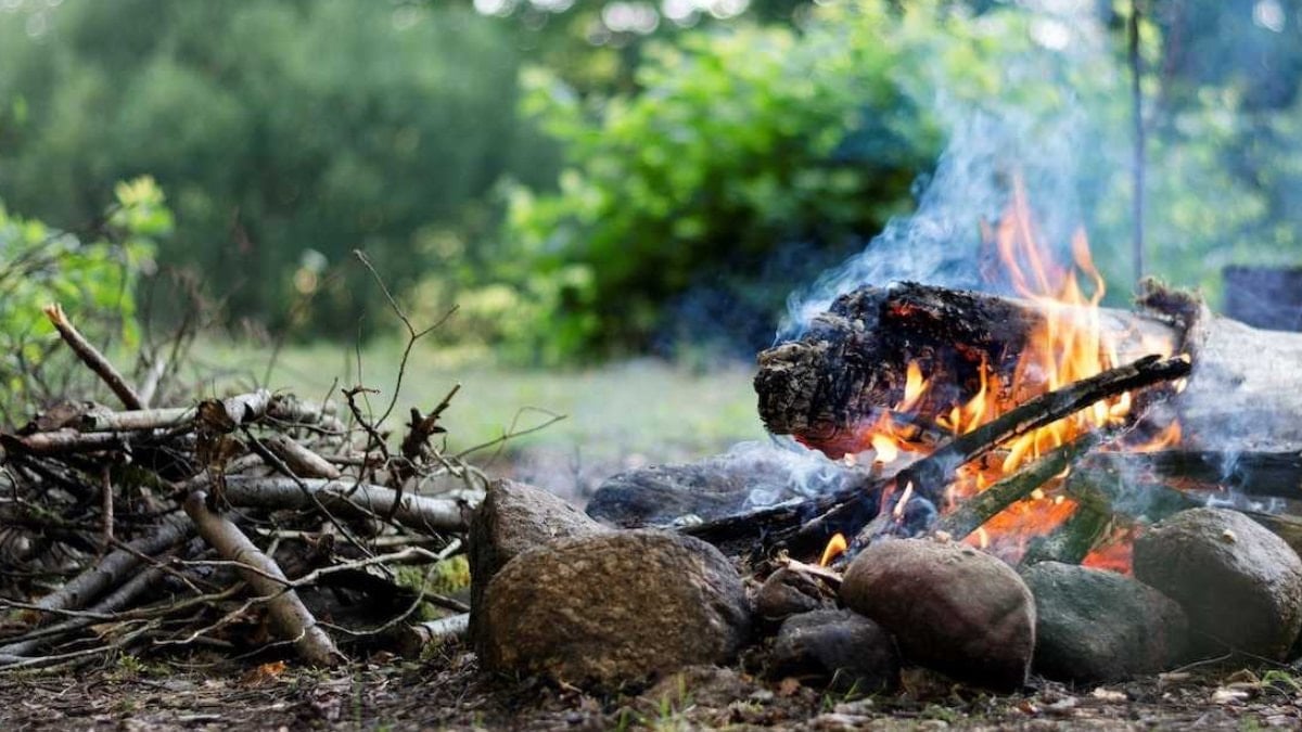 Kaymakamlıktan bağı bahçesi olana duyurdu: 1 Mayıs’tan itibaren yasaklanıyor