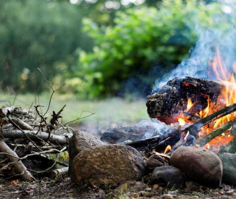 Kaymakamlıktan bağı bahçesi olana duyurdu: 1 Mayıs’tan itibaren yasaklanıyor