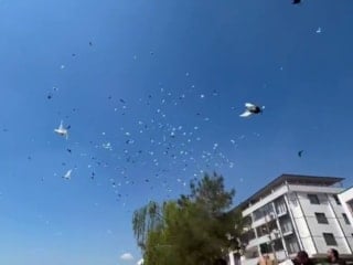 Bursa'da güvercinlerin toplu uçuşu büyüledi