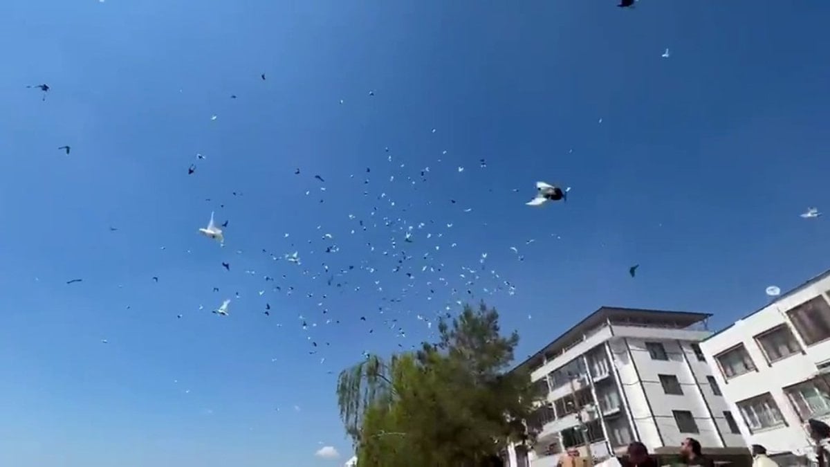 Bursa'da güvercinlerin toplu uçuşu büyüledi