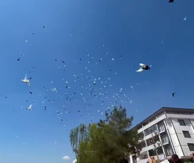 Bursa'da güvercinlerin toplu uçuşu büyüledi