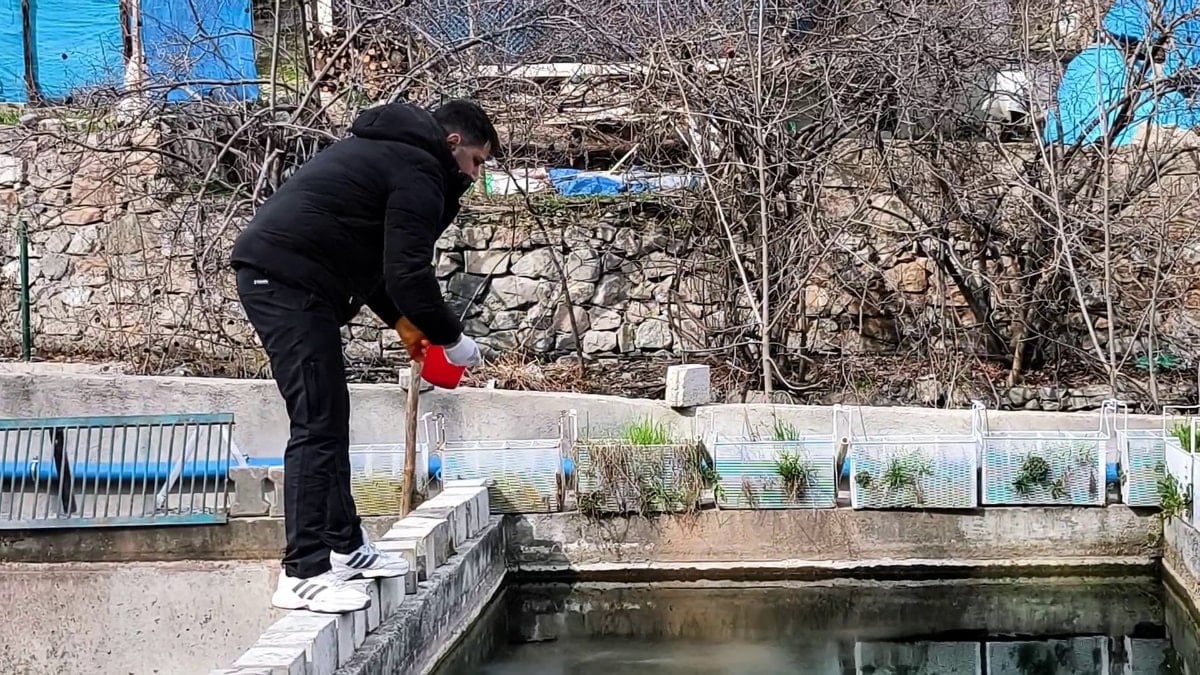 Erzurum’da büyük kayıp: 300 bin balık telef oldu, genç girişimci direniyor