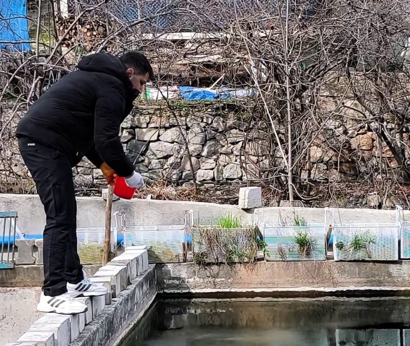 Erzurum’da büyük kayıp: 300 bin balık telef oldu, genç girişimci direniyor