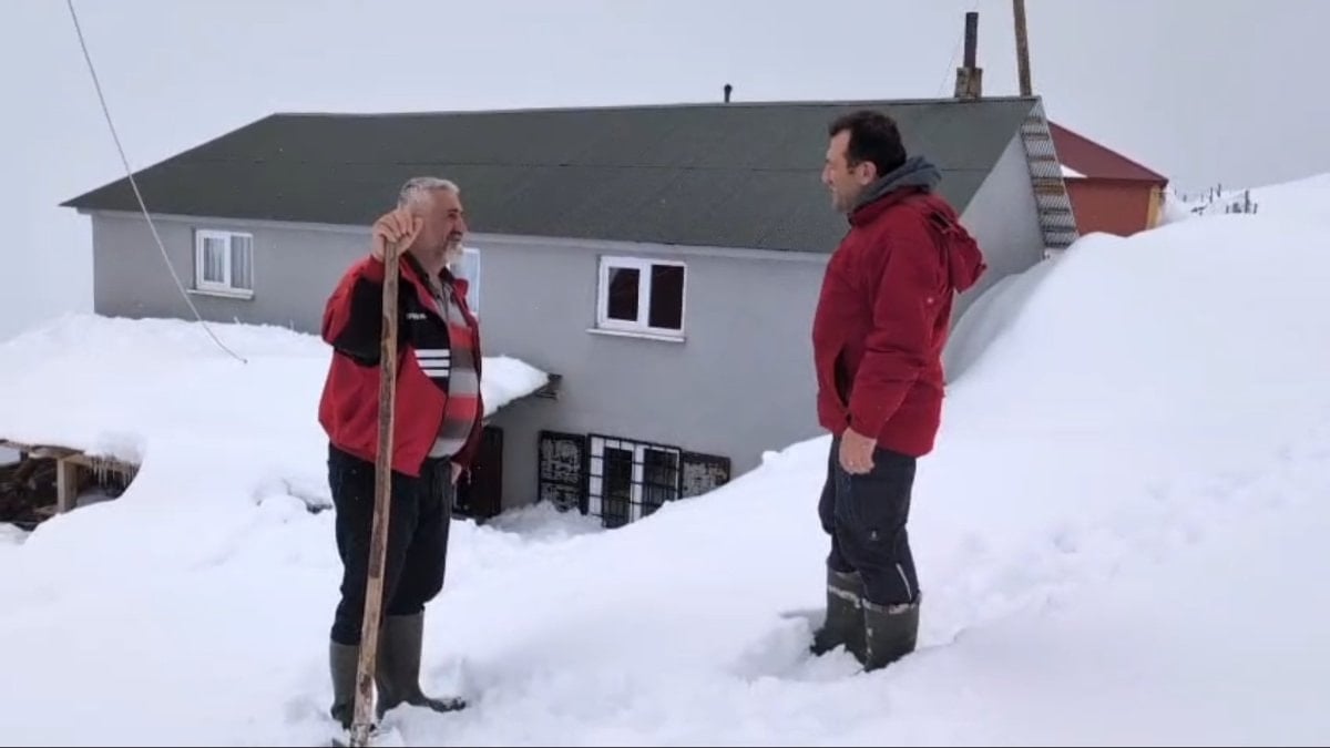 Torul’da kar altında 'ayı nöbeti