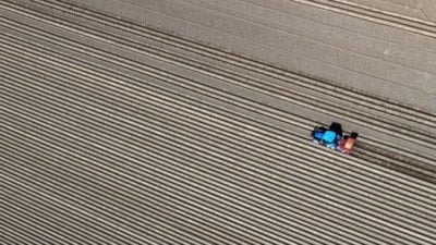 Körfez'deki savaşın tarım sektörüne etkisi ölçüldü