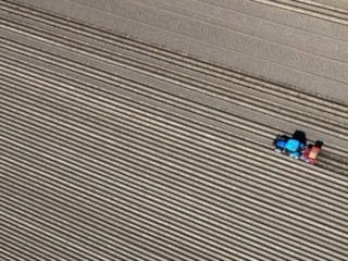 Körfez'deki savaşın tarım sektörüne etkisi ölçüldü