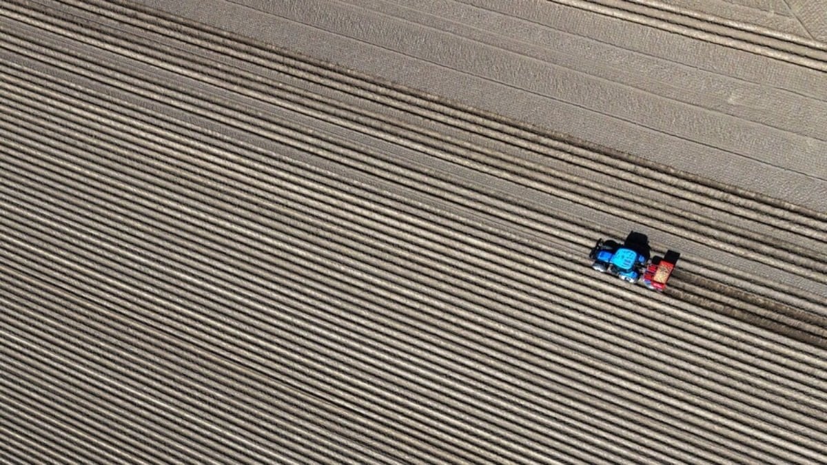 Körfez'deki savaşın tarım sektörüne etkisi ölçüldü