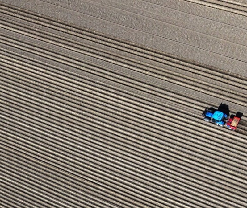 Körfez'deki savaşın tarım sektörüne etkisi ölçüldü