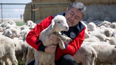 Bakan İbrahim Yumaklı: Anadolu küçükbaşın merkezi olacak