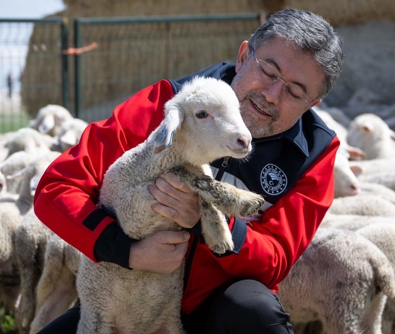 Bakan Yumaklı: Anadolu küçükbaşın merkezi olacak