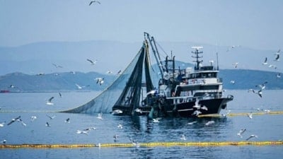 Denizlerde av yasağı 15 Nisan'da başlıyor
