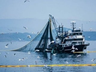 Denizlerde av yasağı 15 Nisan'da başlıyor